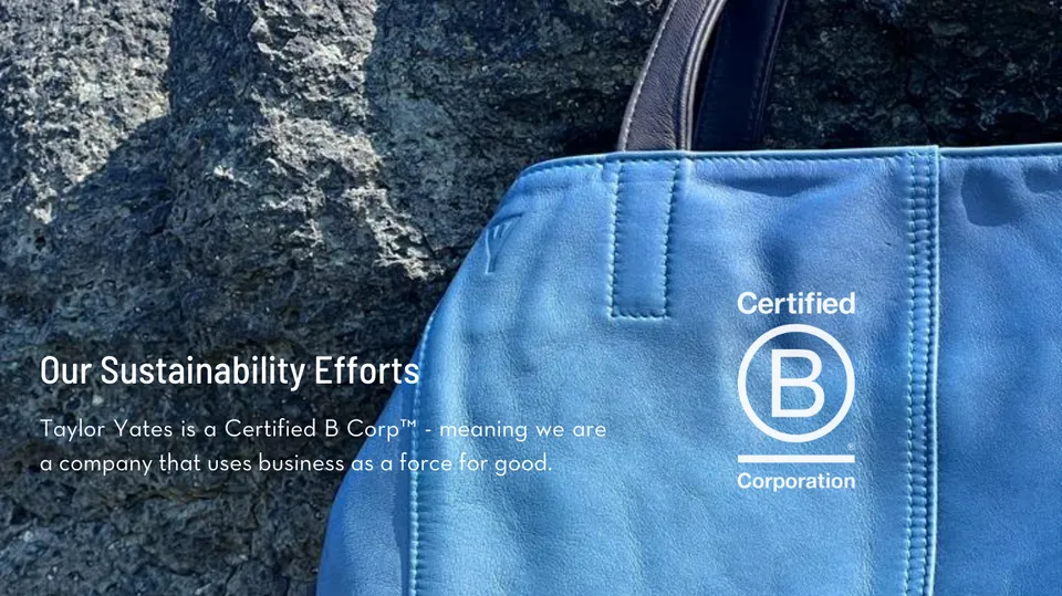 B Corp Landscape